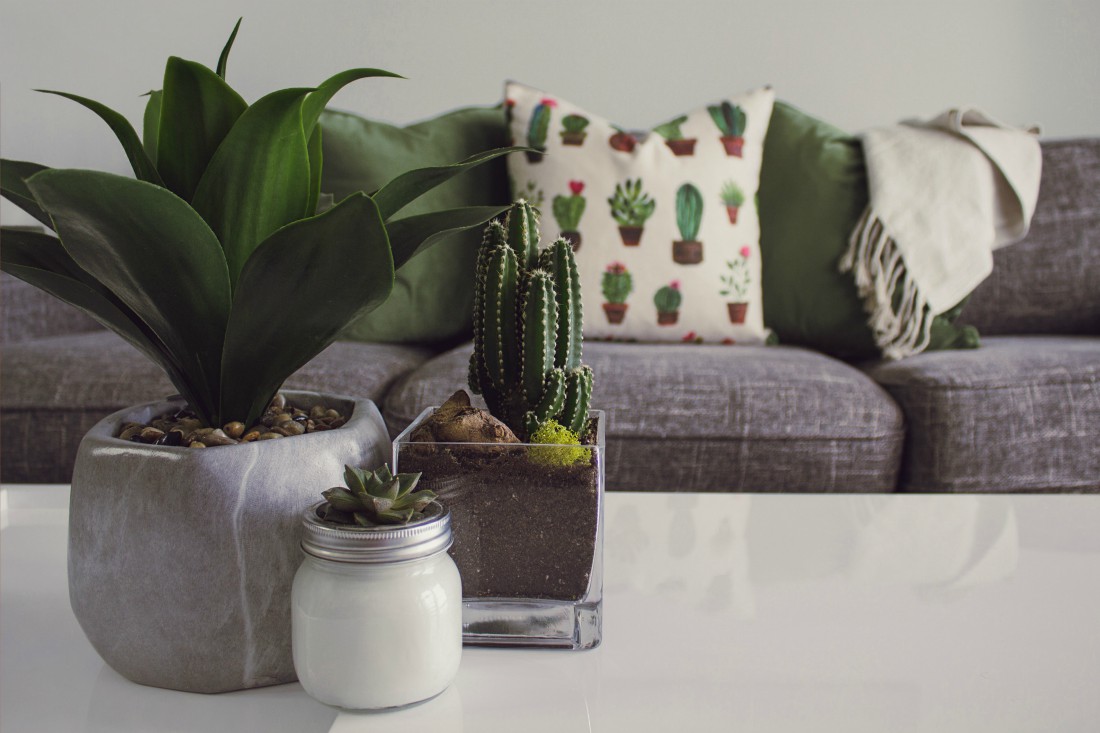 summer living room