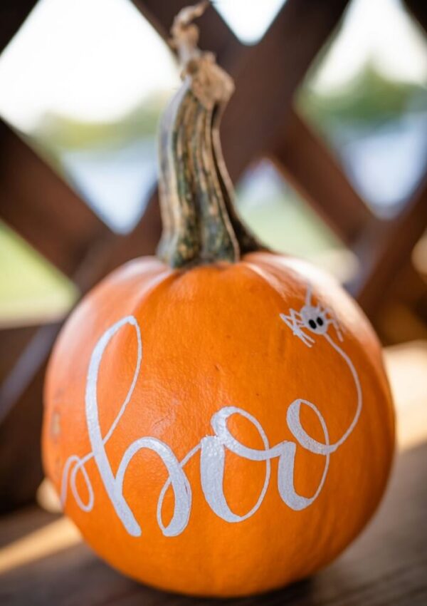 easy pumpkin painting idea