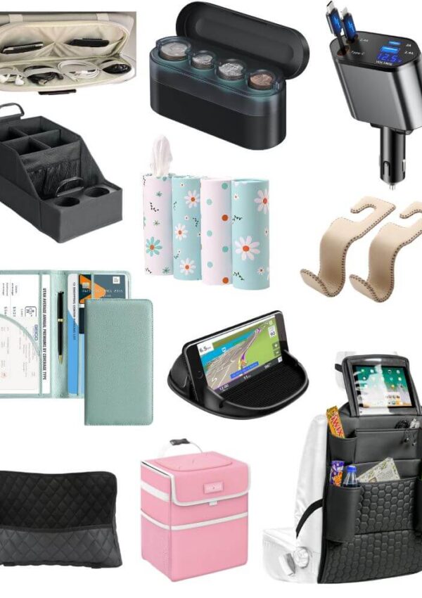 organization ideas for inside your car