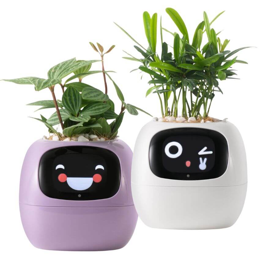 houseplant smart pots