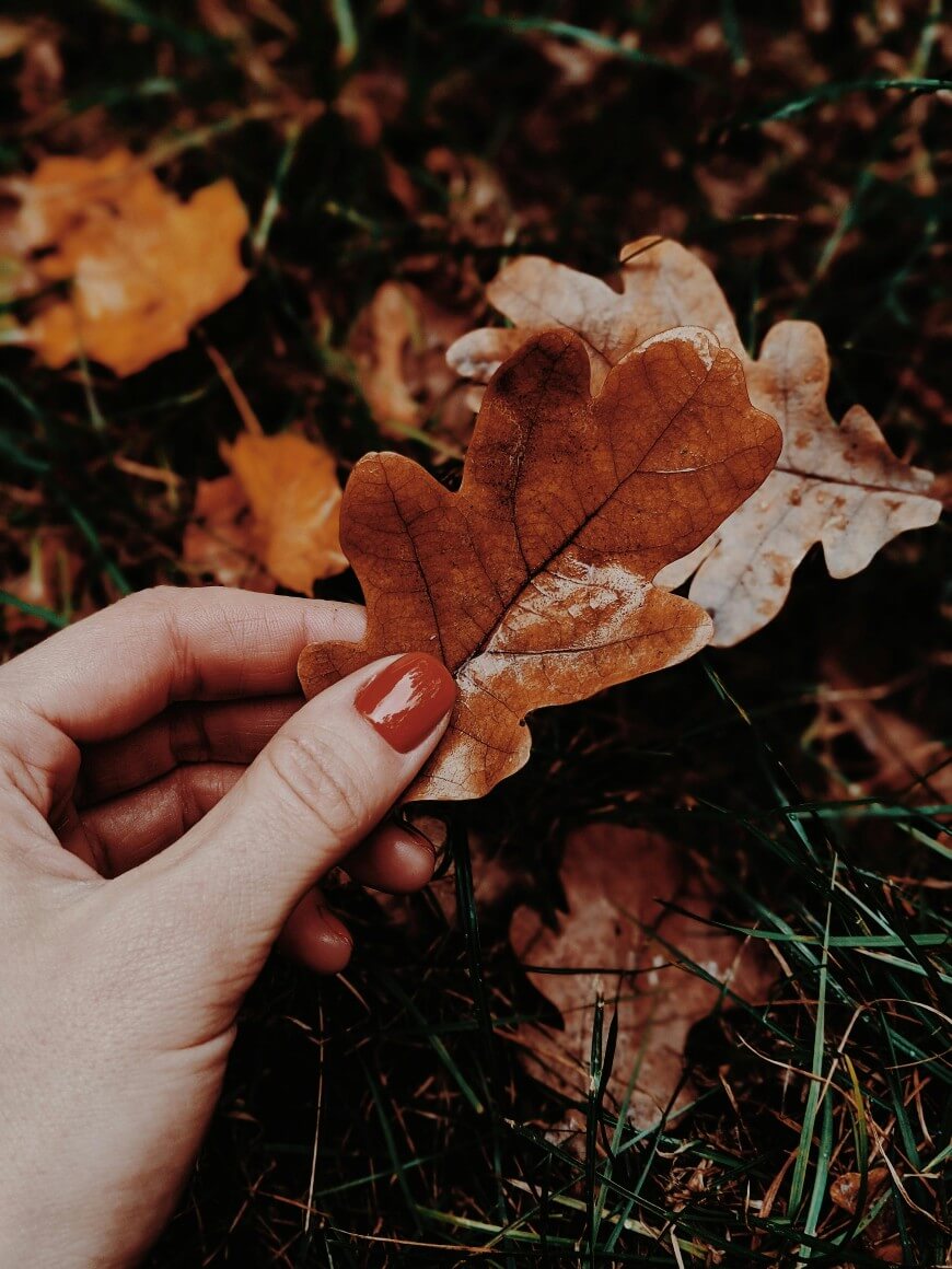fall orange nails
