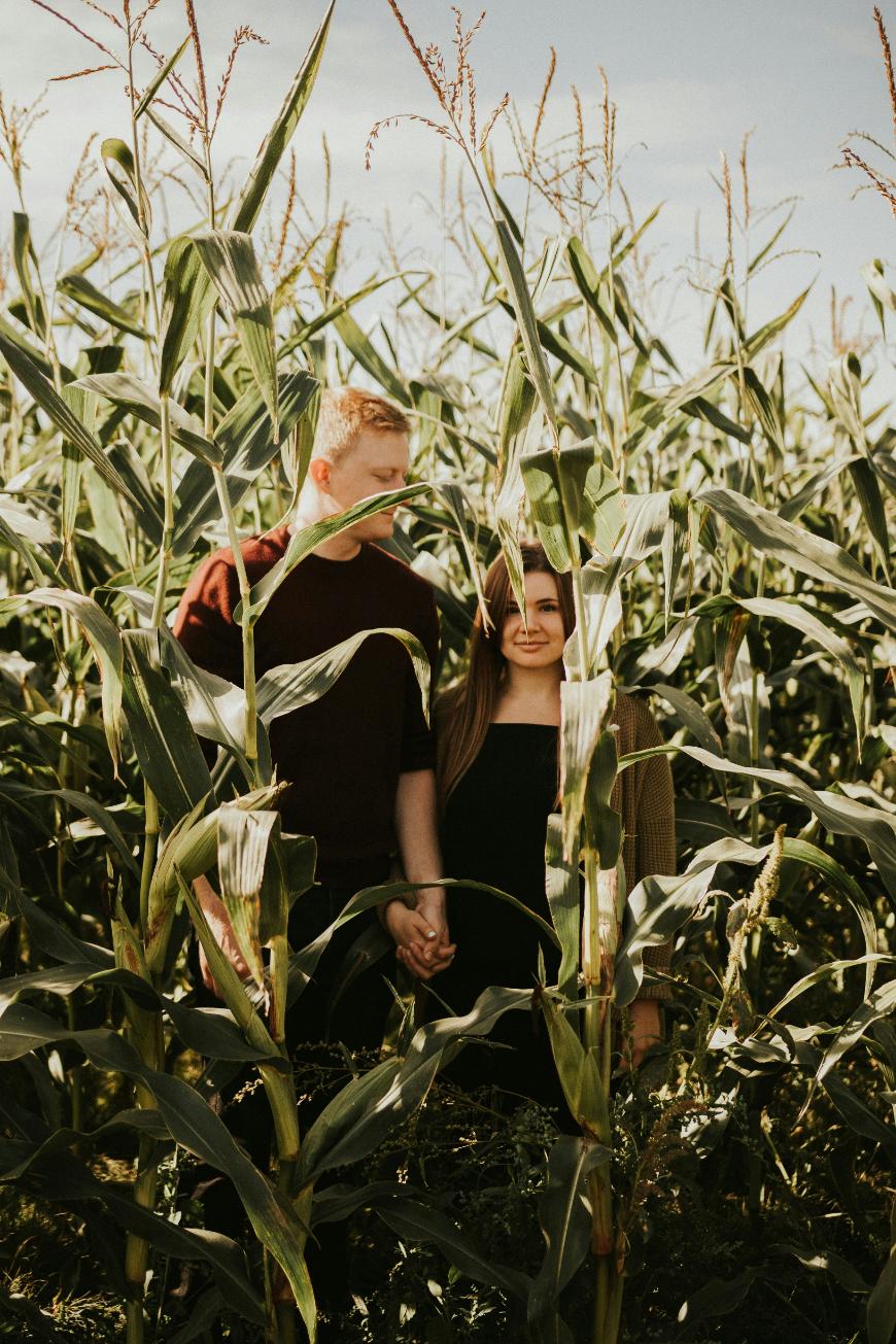 A couple stands close together, holding hands and smiling, surrounded by tall green corn stalks in a sunlit field.