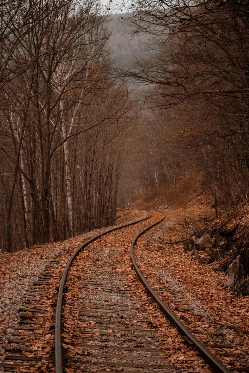 Curving railroad tracks run through a forest of bare trees in autumn, with fallen leaves covering the ground and tracks. The scene is misty and muted, giving a quiet, tranquil atmosphere.