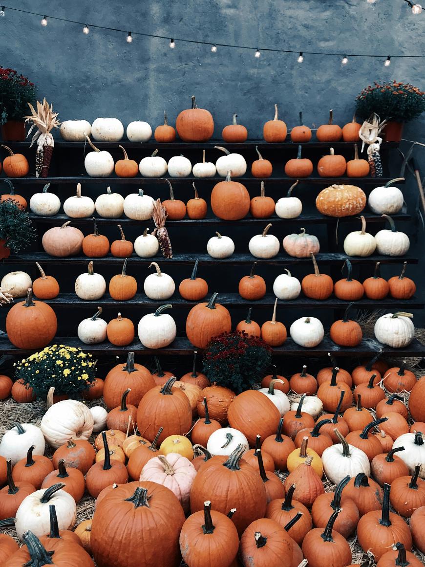 A display of orange and white pumpkins arranged on tiered black steps, with string lights above and potted plants on the sides, set against a gray wall.