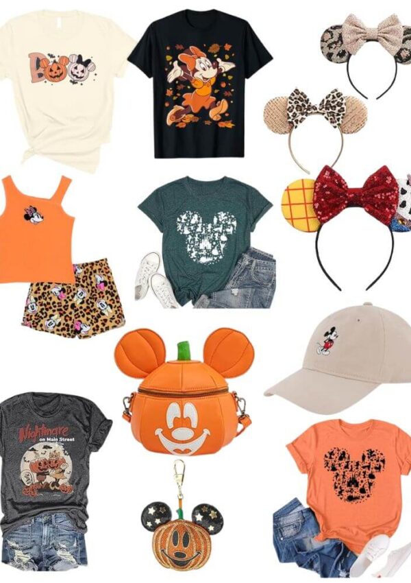20+ Fall Disney World Outfit Ideas