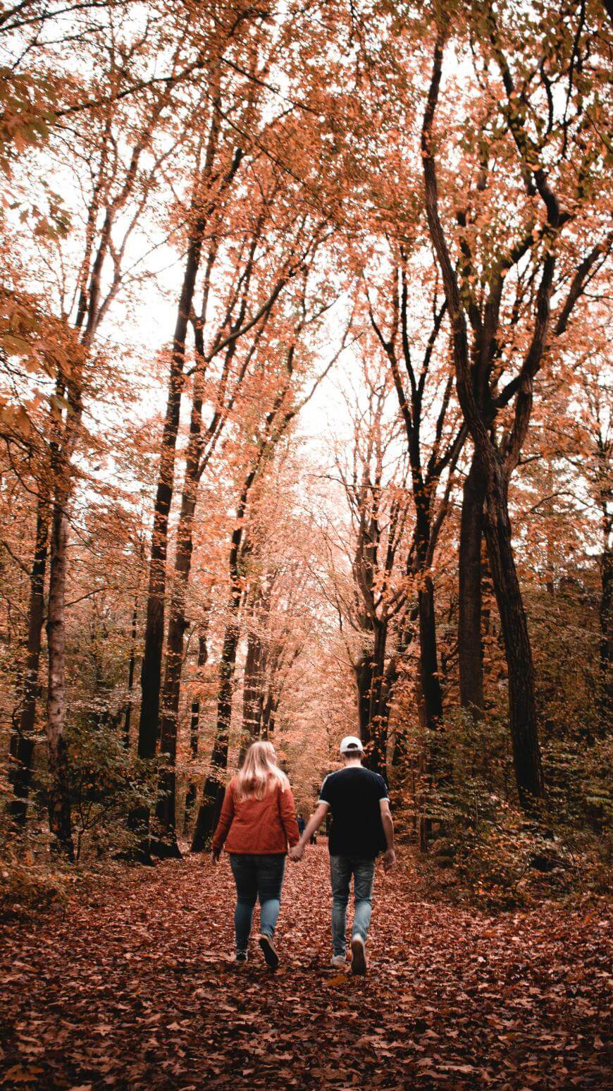 A couple walks hand in hand down a leaf-covered path through a forest with tall trees and autumn foliage in warm shades of orange and brown.