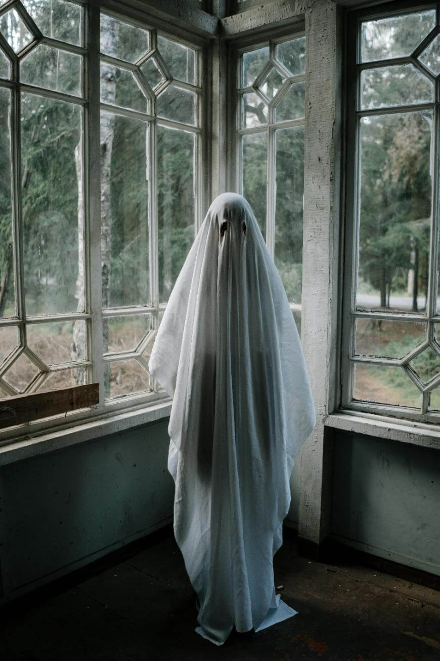 A person stands in a corner of a sunlit room, draped in a white sheet like a ghost costume, with cut-out holes for eyes. The windows behind reveal a forested area outside.