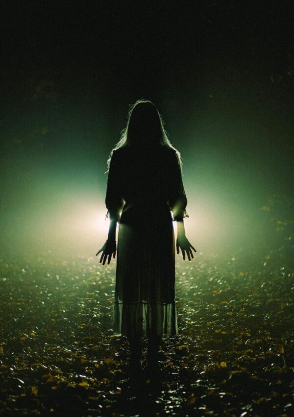 A silhouette of a person in a long dress stands in a dark, misty forest, illuminated from behind by bright, mysterious lights, creating an eerie and dramatic atmosphere.