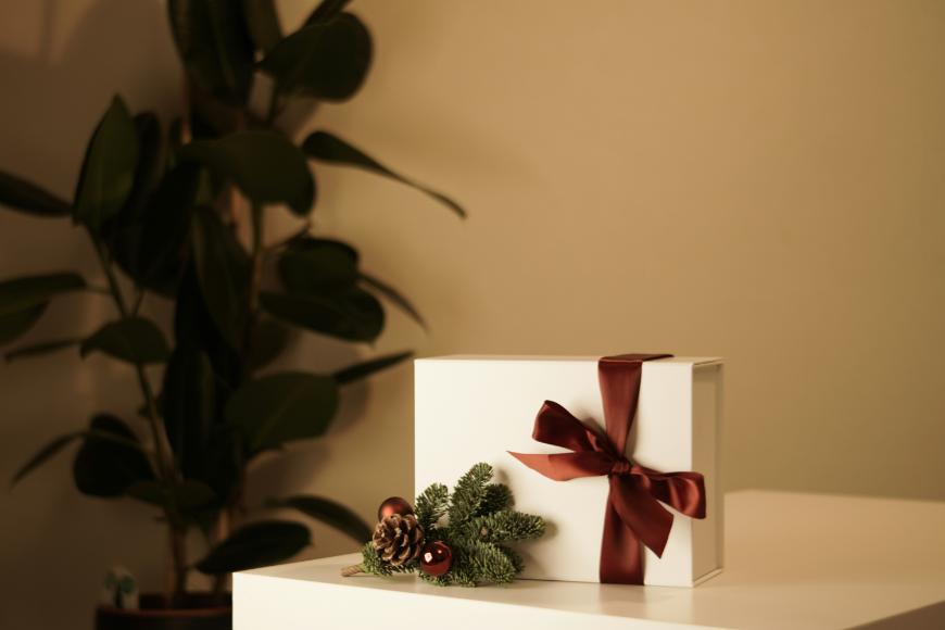 A white gift box with a brown satin ribbon and festive pine branch decoration sits on a white surface; a leafy green plant is blurred in the background.