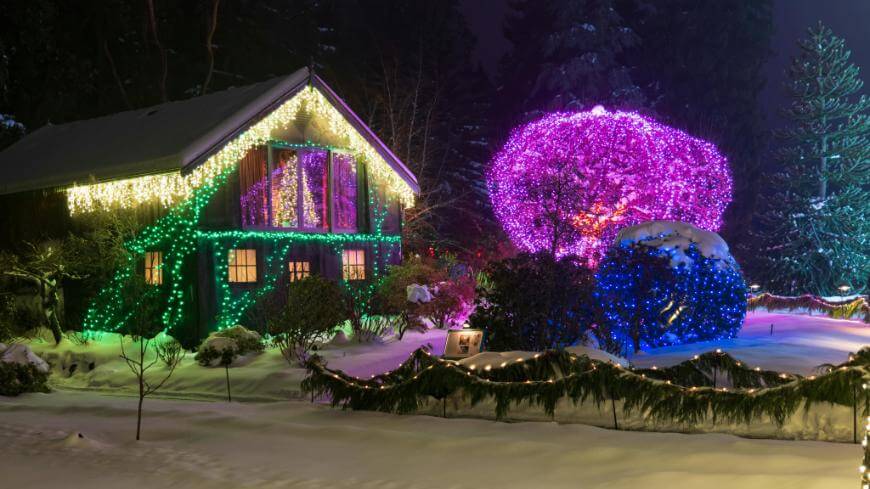 A snow-covered house is decorated with green and yellow holiday lights. Nearby trees and bushes are wrapped in vibrant purple and blue lights, creating a festive winter scene at night.