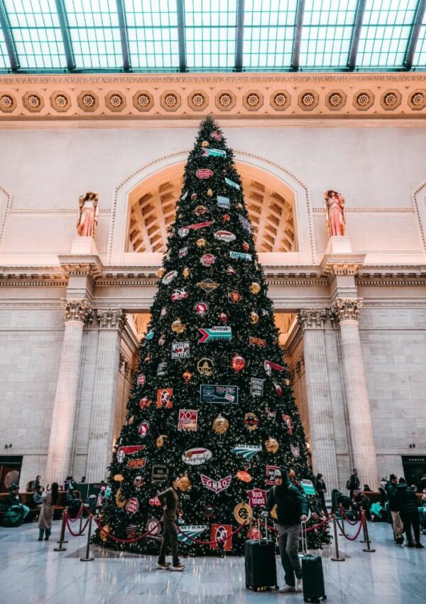 A tall, decorated Christmas tree stands in the center of a grand indoor hall with high ceilings, large windows, and classical columns. People are gathered around the tree, some taking photos and admiring the display.