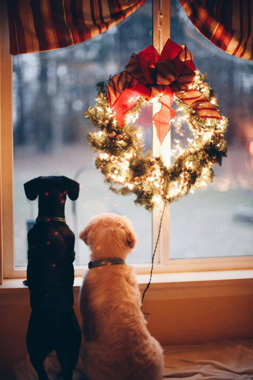 Two dogs, one black and one light-colored, sit side by side on a windowsill looking out. A lit Christmas wreath with a red bow hangs in the window, and curtains frame the cozy scene.