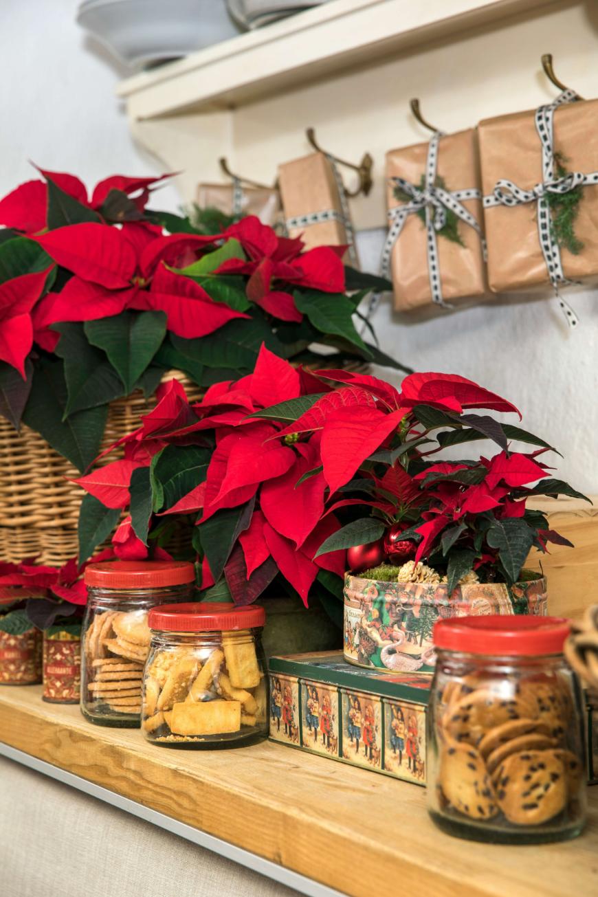 Jars of cookies and treats are displayed on a wooden shelf next to red poinsettia plants in wicker baskets. Gift-wrapped packages are hanging on hooks above, creating a festive holiday scene.