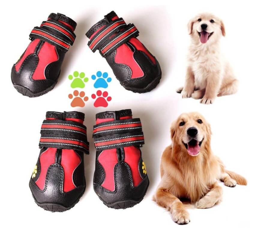 Four red and black dog shoes with velcro straps displayed with colorful paw prints, a sitting golden retriever, and a smiling golden retriever puppy on a white background.
