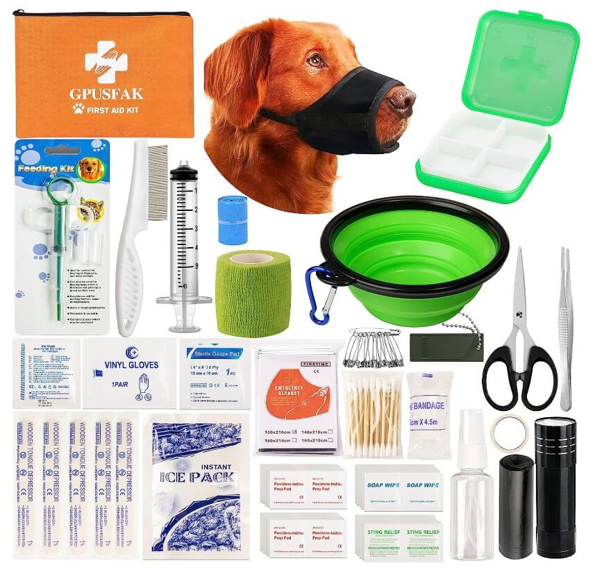 A comprehensive pet first aid kit with various supplies, including bandages, gloves, scissors, syringes, a feeding kit, a folding bowl, a muzzle on a dog, and a green storage box, neatly arranged on a white background.