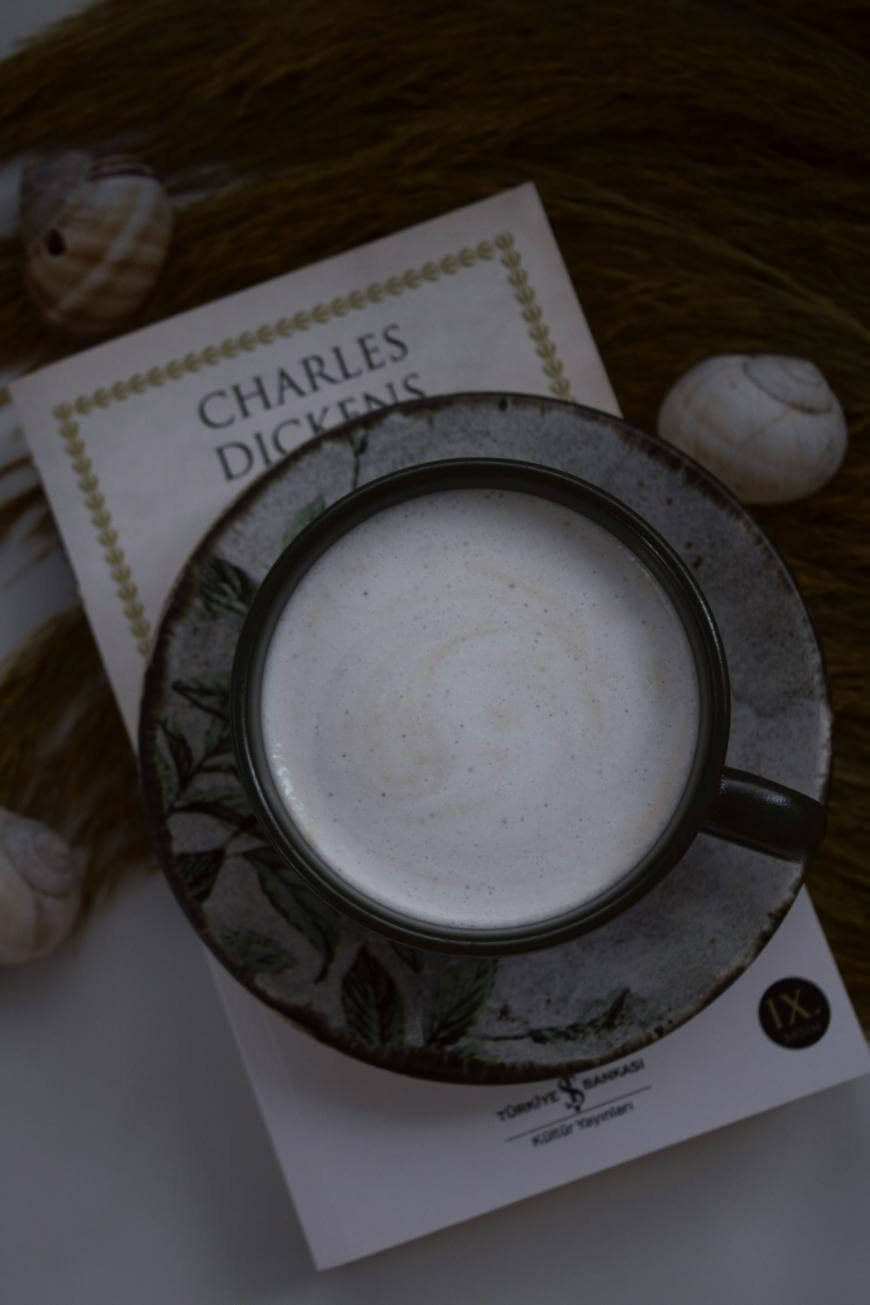 A cup of frothy coffee sits on a saucer atop a Charles Dickens book, surrounded by a few seashells and brown dried grass, creating a cozy and artistic scene.