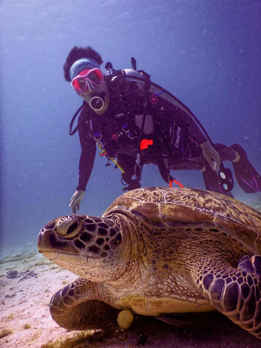 A scuba diver in full gear swims underwater near a large sea turtle resting on the sandy ocean floor, both surrounded by clear blue water.