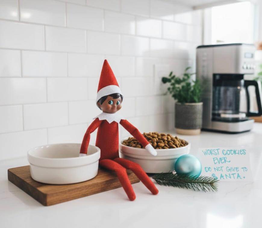 A toy elf sits on a kitchen counter beside a bowl of pet food and an empty bowl. A note nearby reads, Worst cookies ever. Do not give to Santa. A blue ornament and greenery sit next to the bowls.