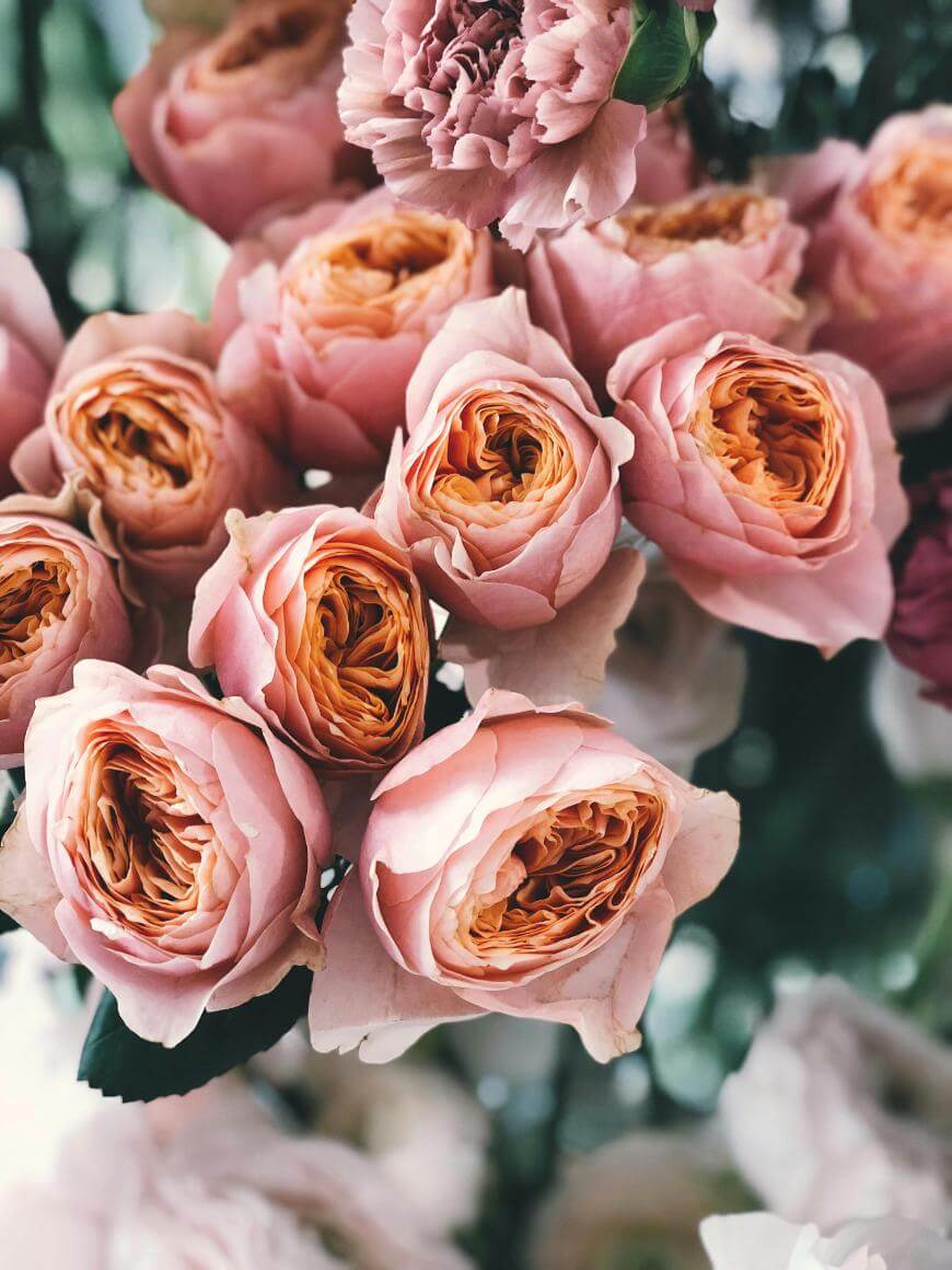 A close-up of a bouquet of pink and peach garden roses with delicate, layered petals and green leaves, softly lit with a blurred background.