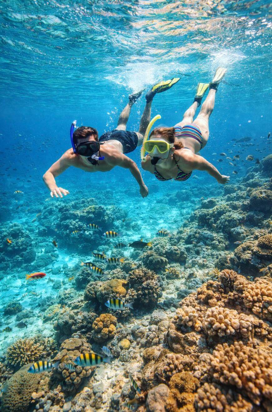 Two people snorkeling in clear, blue water above a coral reef, surrounded by colorful tropical fish and vibrant coral formations under bright sunlight.