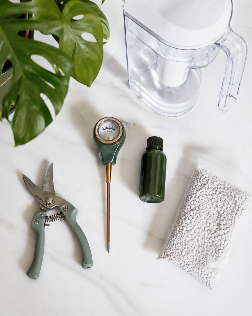A flat lay of gardening tools and supplies on a white surface, including pruning shears, a soil meter, a small green bottle, a bag of white pellets, a clear water pitcher, and a green-leafed plant.
