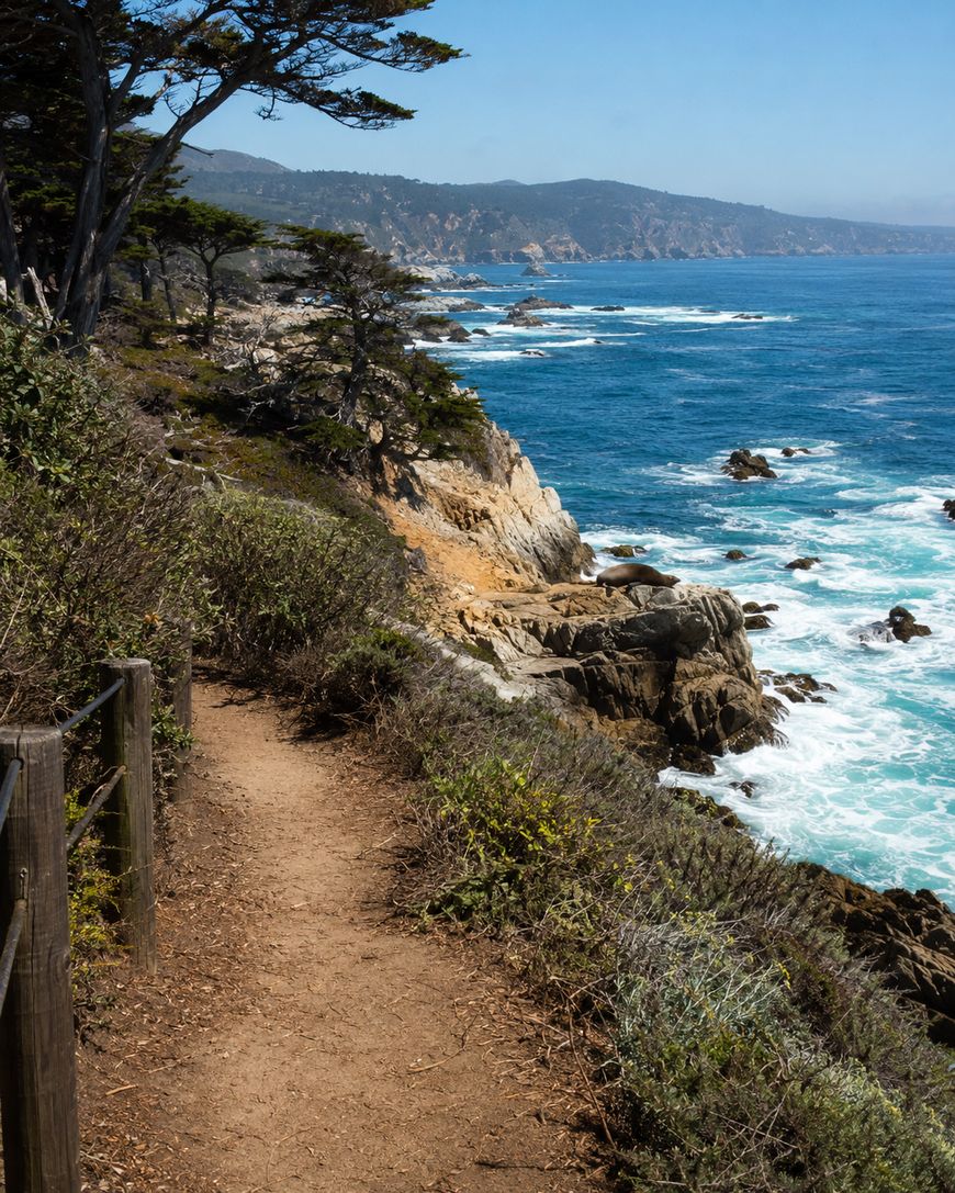 A dirt trail runs along a rocky coastline with ocean waves crashing against the shore, bordered by shrubs and trees, under a clear blue sky.
