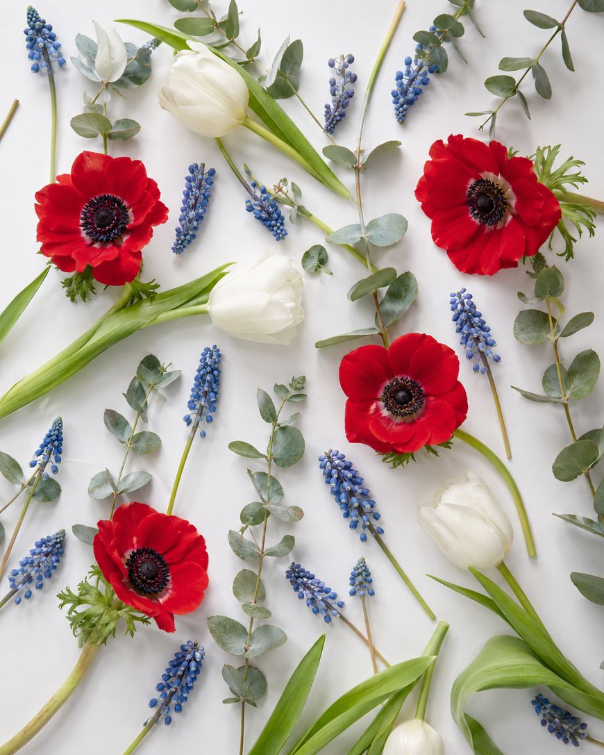 Red anemones, white tulips, blue grape hyacinths, and sprigs of greenery are arranged on a white background in a flat lay floral pattern.