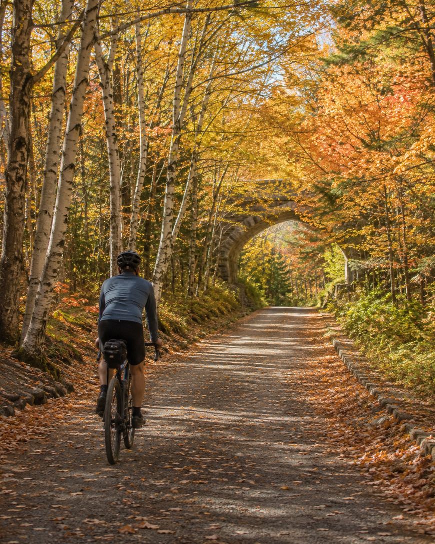 A person rides a bicycle on a tree-lined path covered in autumn leaves, surrounded by vibrant fall foliage, with a stone bridge visible in the distance under a clear sky.