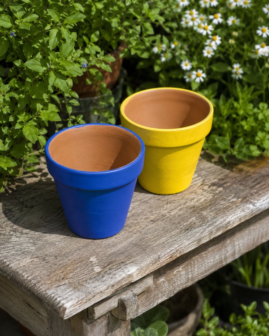Two empty terracotta pots, one painted blue and the other yellow, sit on a weathered wooden bench in a garden surrounded by green foliage and white flowers.