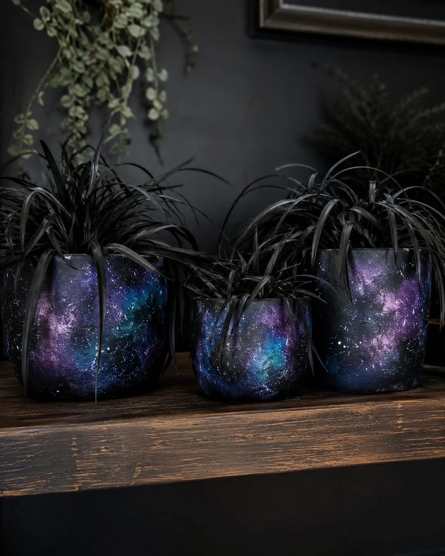 Three potted plants with spiky, dark leaves sit on a wooden shelf. The pots are painted with vibrant galaxy designs featuring purples, blues, and stars, against a dark background with greenery in the distance.