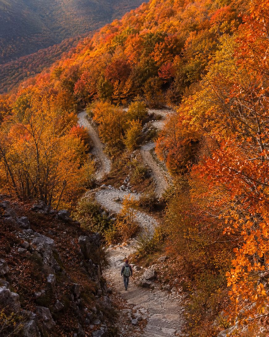 A person walks along a winding mountain trail surrounded by vibrant orange and red autumn trees, with hills covered in colorful foliage in the background.