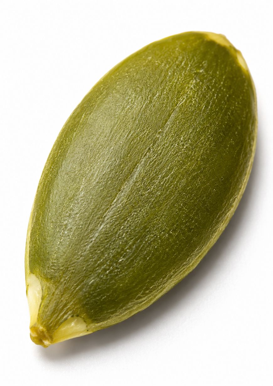 A close-up of a single green pumpkin seed, also known as a pepita, isolated on a white background.