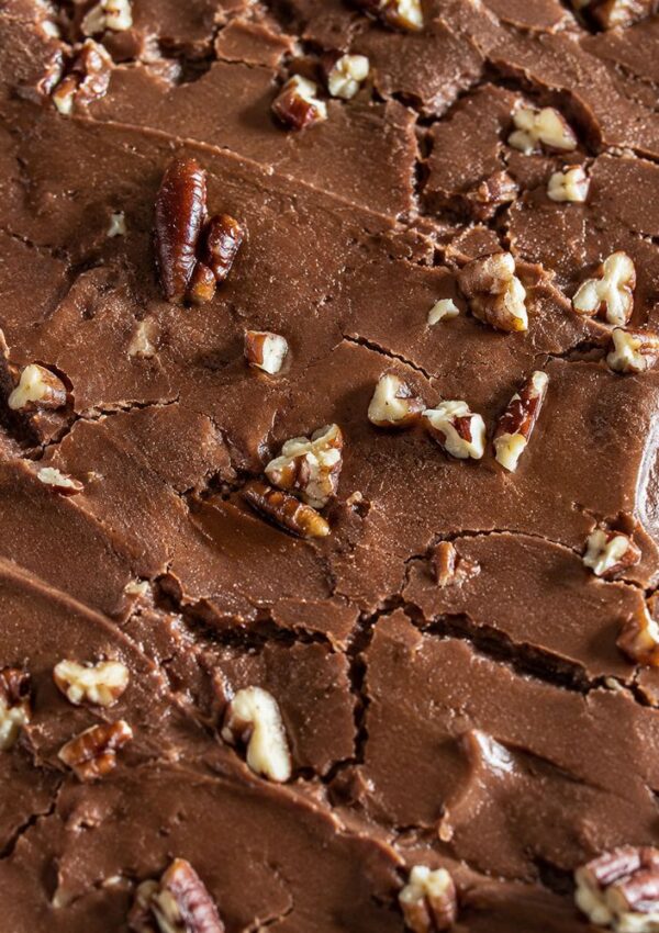 Close-up of rich, creamy chocolate fudge reminiscent of texas sheet cake, topped with chopped pecans, showing a smooth, slightly cracked surface and scattered nut pieces throughout.