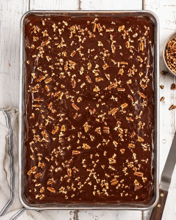 A rectangular sheet pan filled with chocolate cake topped with glossy chocolate icing and sprinkled with chopped pecans sits on a white wooden surface. A knife and a bowl of extra pecans are nearby.