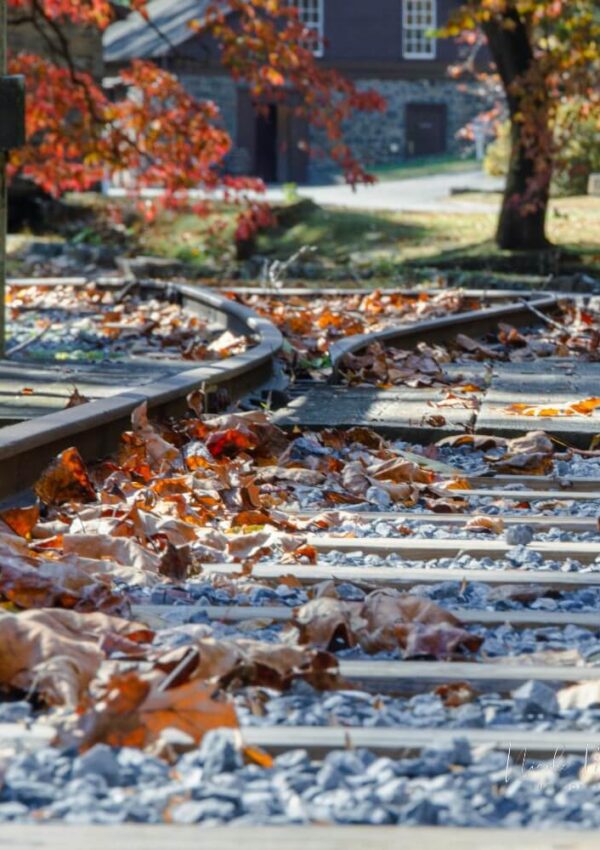 Close-up of train tracks covered with autumn leaves, curving to the left. Trees with colorful fall foliage and a blurred building are visible in the background.