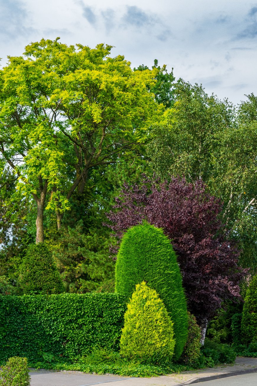 A lush garden with tall green trees, a bush with purple leaves, and neatly trimmed shrubs. The scene is vibrant with various shades of green, set under a cloudy blue sky.