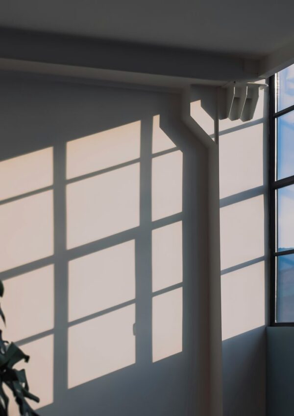 Sunlight streams through a large window, casting geometric shadows on a white wall. Part of a green plant is visible in the bottom left corner. The overall mood is calm and minimalist.