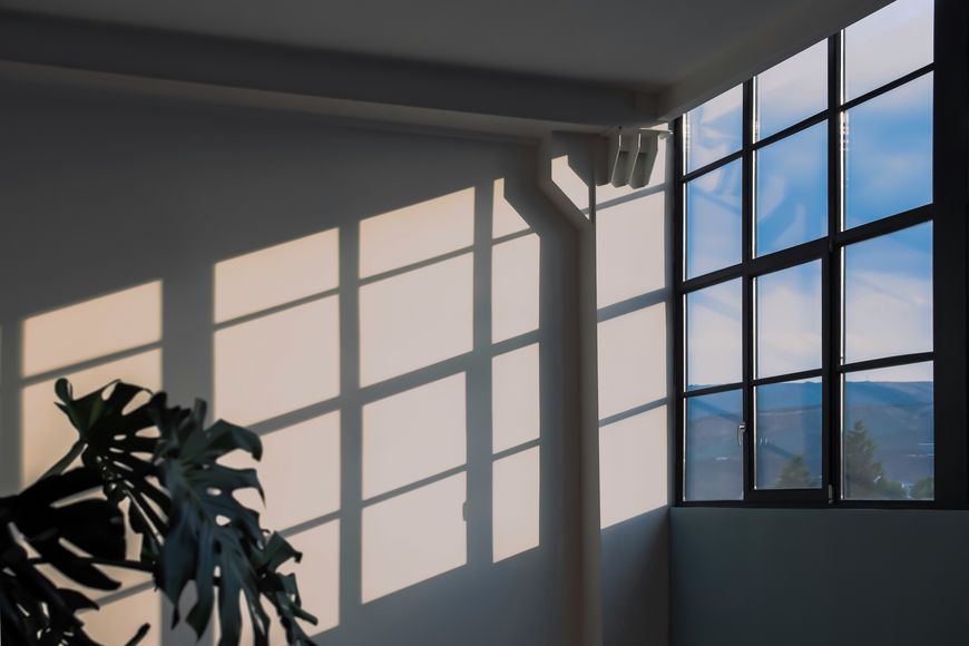 Sunlight streams through large grid windows, casting geometric shadows on a white wall. A leafy plant is partially visible in the bottom left corner, and blue sky and mountains are seen outside.
