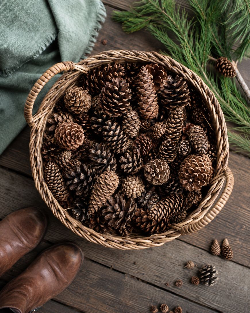 A wicker basket filled with assorted pine cones sits on a wooden floor. Pine branches and a green cloth are nearby, with brown boots visible at the bottom of the image.