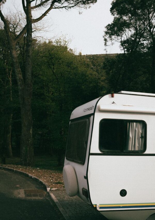 A white camper van is parked near a forest, with tall trees and greenery in the background. The photo shows only the rear half of the camper under soft, natural daylight.