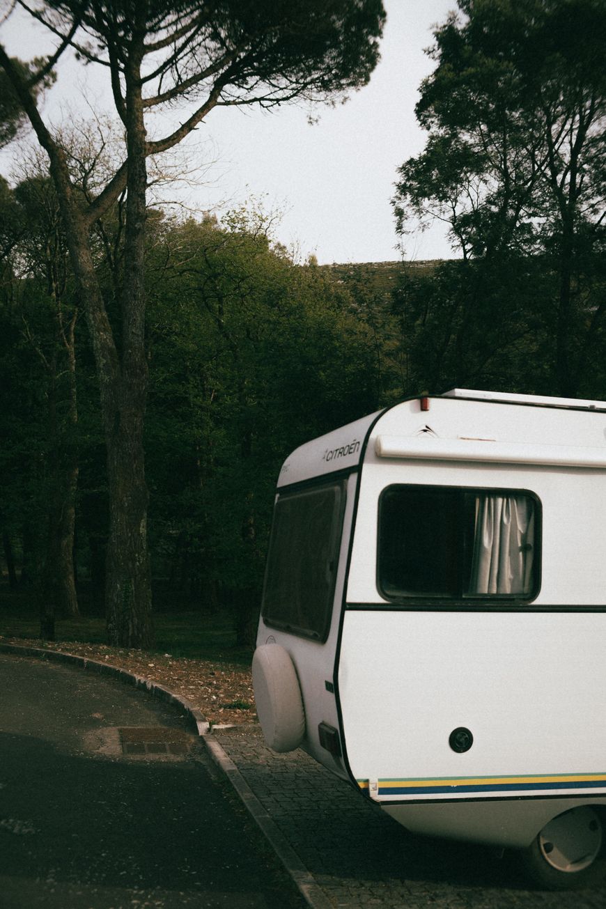 A white camper van is parked on a paved surface, partially visible among tall trees in a wooded area. The scene is calm, with green foliage in the background.