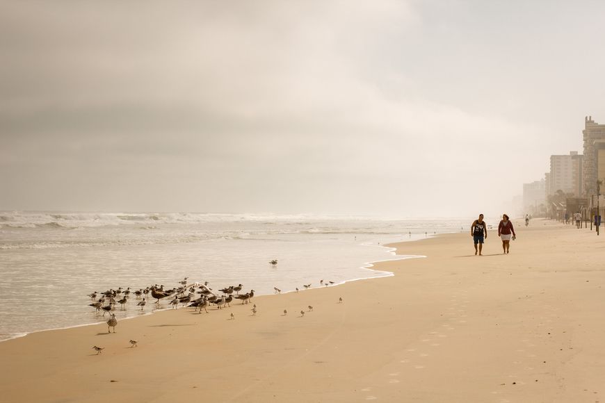 Two people walk along a wide sandy beach near a flock of shorebirds, with hotels lining the shore in the distance.