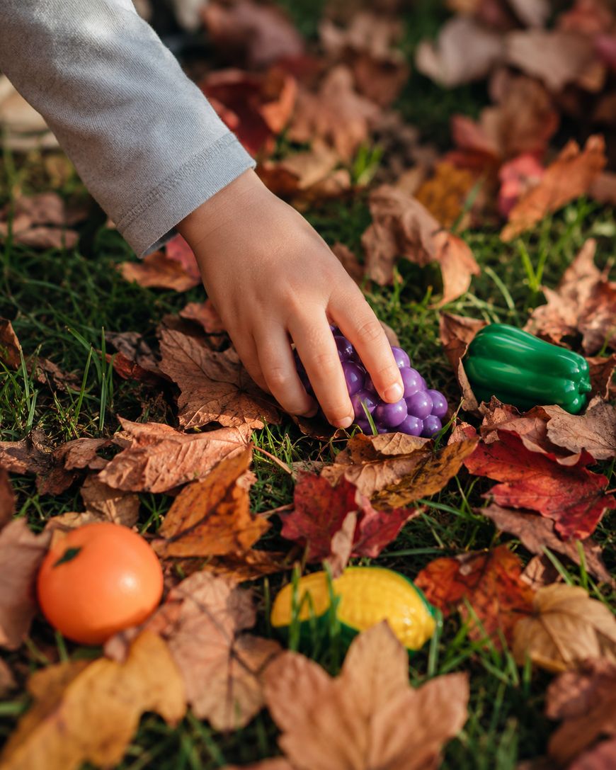A childs hand picks up a plastic bunch of grapes from grass covered with autumn leaves, surrounded by other toy fruits and vegetables.