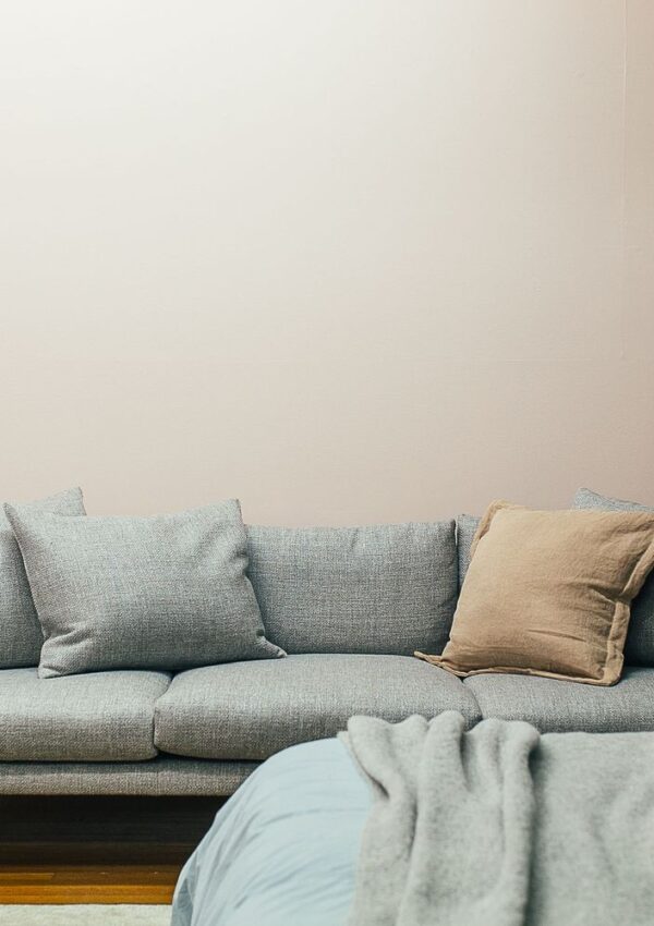 Gray sofa against a blank wall in a bright living room