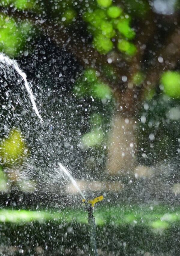 A yellow sprinkler spraying water in a garden.