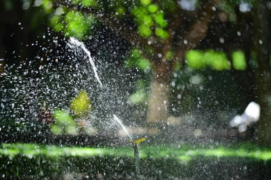 Garden sprinkler watering a lush green lawn
