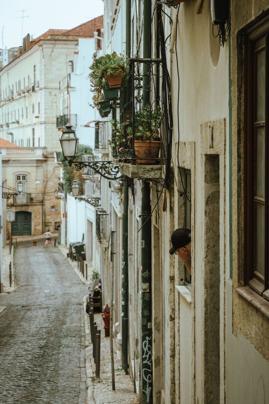 Cobbled street lined with plants and lanterns in Lisbon